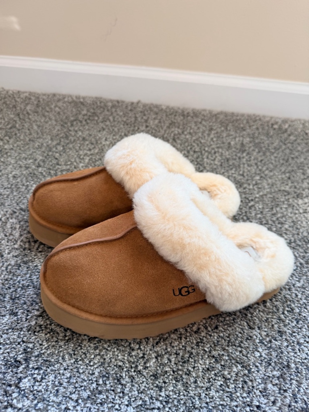 UGG Chestnut Disquette
